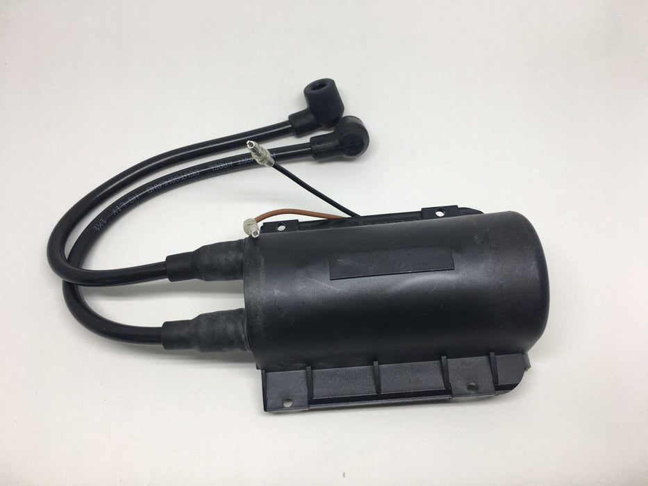 12VDC Ignition Coil DBW-2010 WPX-101-838